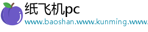 纸飞机pc